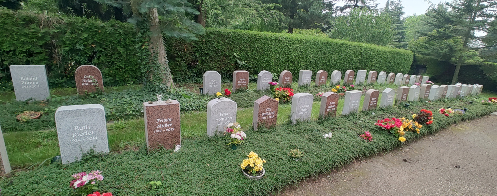 saxony graves