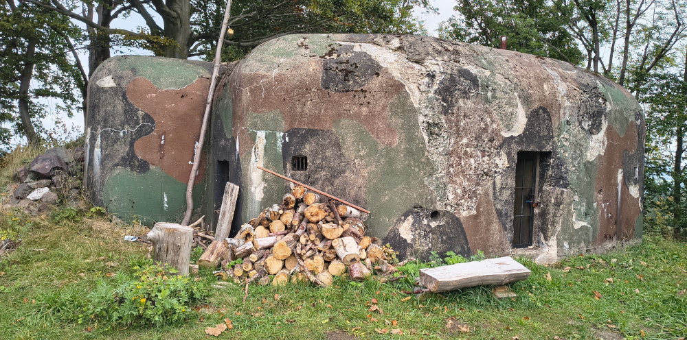 ww2-ropik