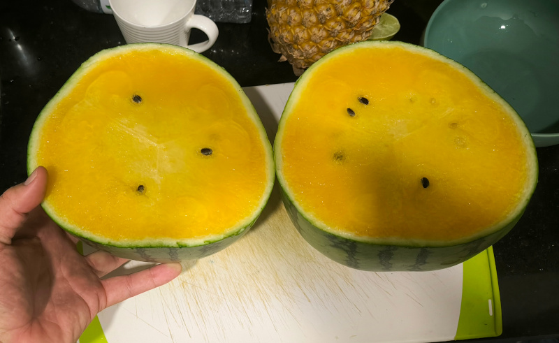 melon-yellow.jpg