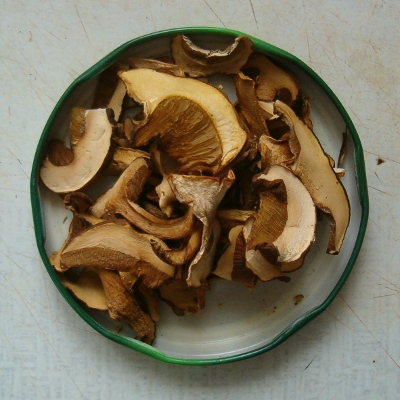 krkonošské kyselo - houby
