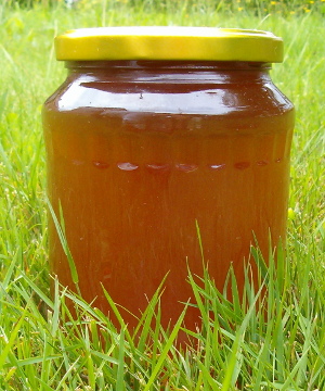 včelý med