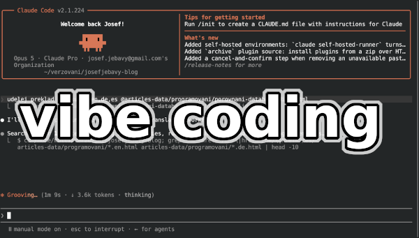 Vibecoding: Jak pomocí AI naprogramovat dobrou aplikaci